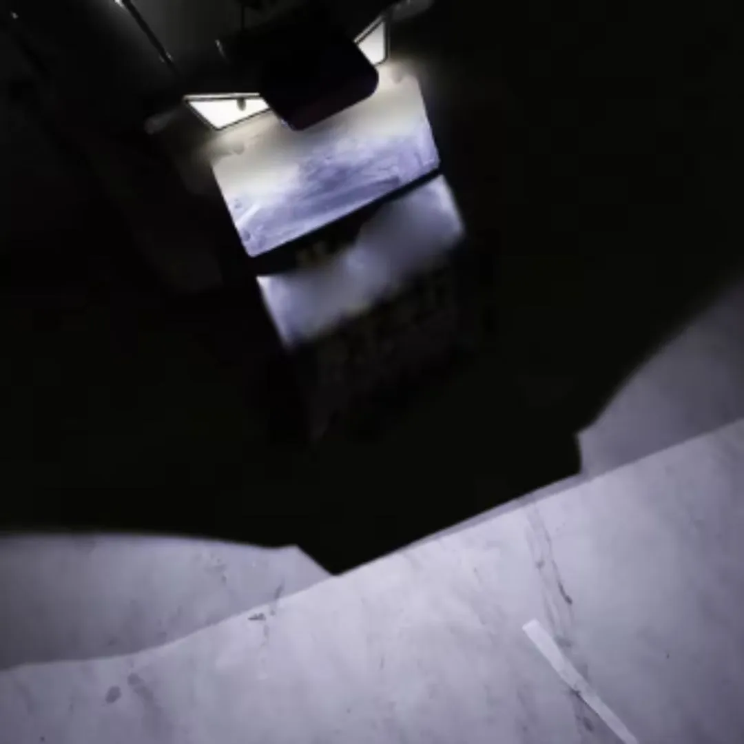 LUZ